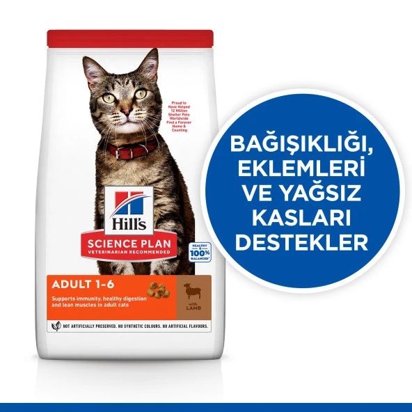 Hills Kuzu Etli Yetişkin Kedi Maması 10 Kg - 2