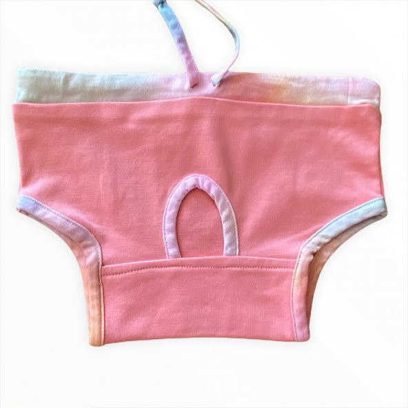 Pink Rainbow Secret Köpek İç Çamaşırı Regl Külot Don