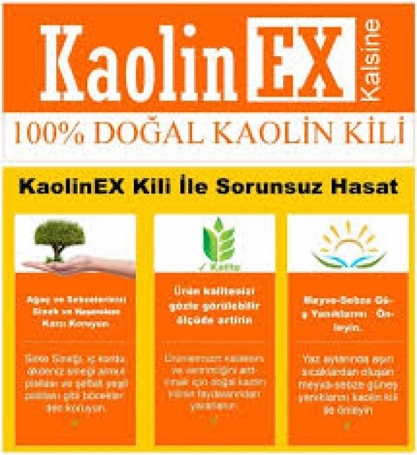 KAOLİNEX KAOLİN KİLİ - 2