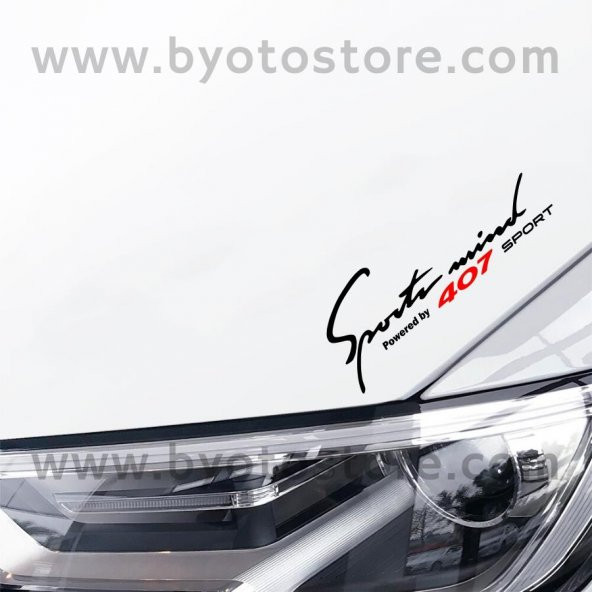 Peugeot 407 için Sports Mind Oto Sticker - 2