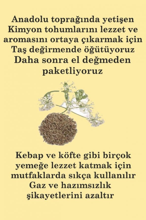 Toz Kimyon Öğütülmüş 500 gr - 2