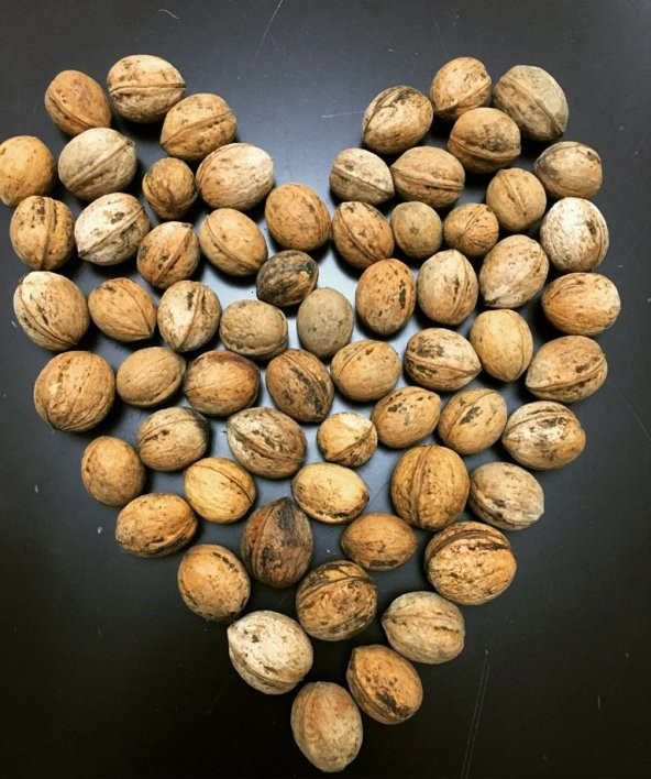 Kastamonu Kabuklu Ceviz 1kg