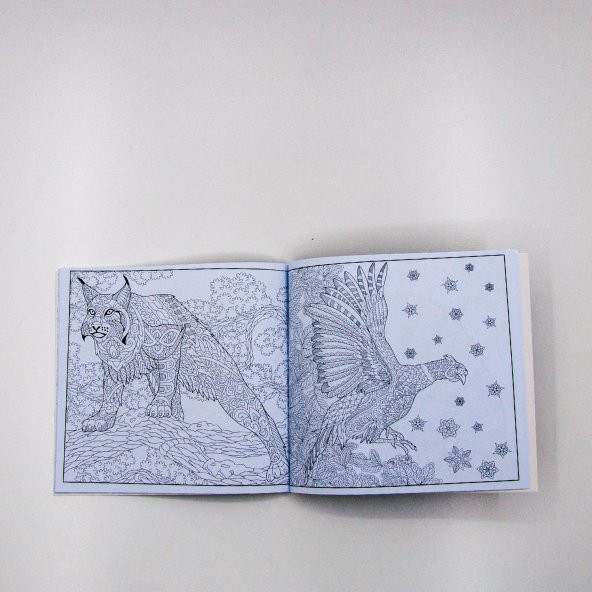 Boyama Defteri Mandala Yetişkin Hayvanlar Alemi Kollektif - 3