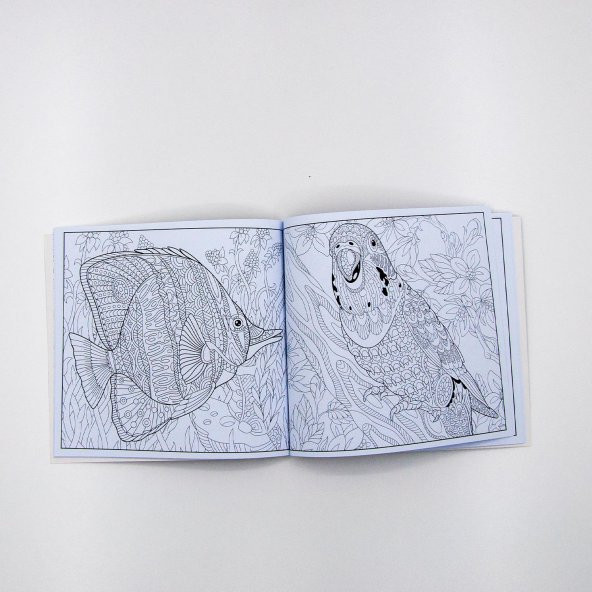 Boyama Defteri Mandala Yetişkin Hayvanlar Alemi Kollektif - 4