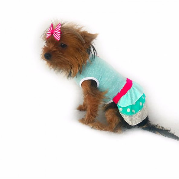 Su Yeşili Köpek Elbisesi Köpek Kıyafeti - 4
