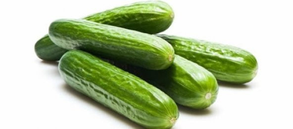 SALATALIK 5 KİLO TOPLAM FİYAT