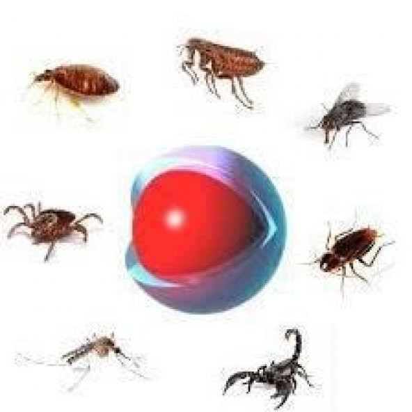 İmperator 25 EC Genel Haşere İlacı(BİT,PİRE,HAMAMBÖCEĞİ,TAHTAKURUSU,AKREP,,SİVRİSİNEK,KARASİNEK - 2