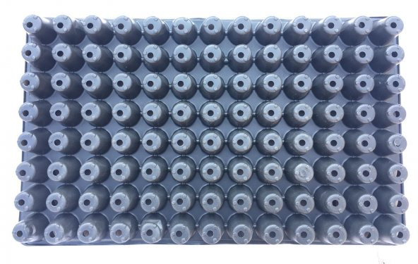 104 Gözlü Fide Ekim Viyolü 10 Adet - 3