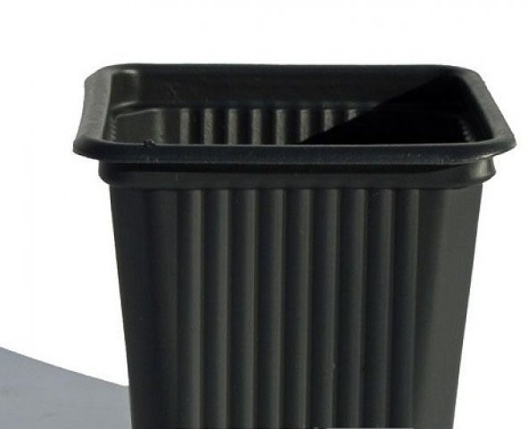 1000adet-Kare Vakum Saksı Fidan Fide Üretim Ucuz Termoform(8x8x9) - 5