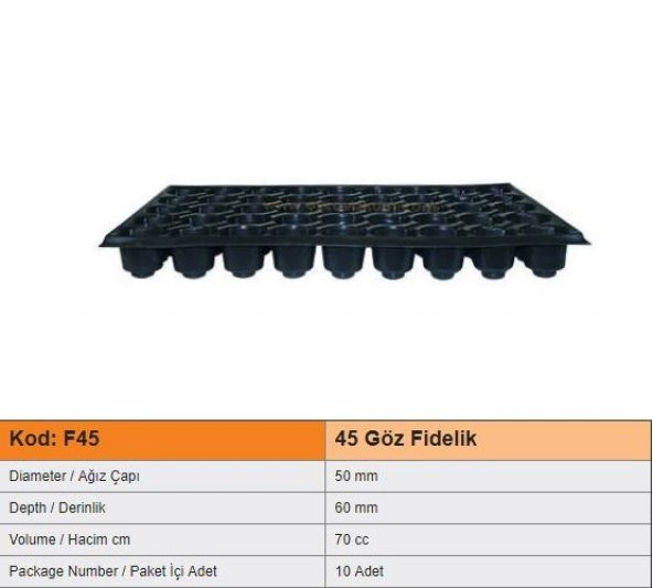 45 Gözlü Fide Ekim Viyolü 10 Adet - 4