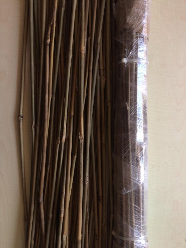 Bambu Destek Çubuğu 75 cm x 6-8 mm 50 Adet - 3