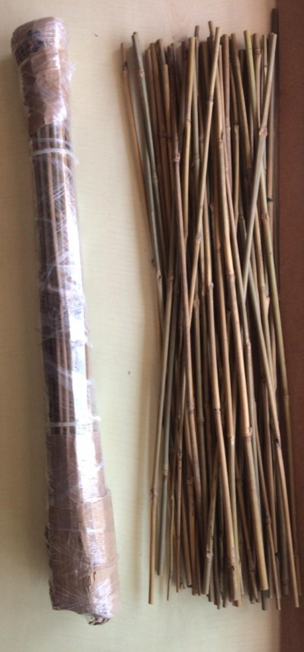 Bambu Destek Çubuğu 75 cm x 6-8 mm 50 Adet