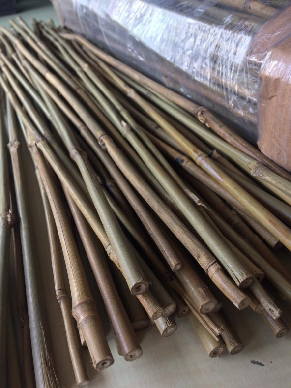 Bambu Destek Çubuğu 75 cm x 6-8 mm 50 Adet - 6