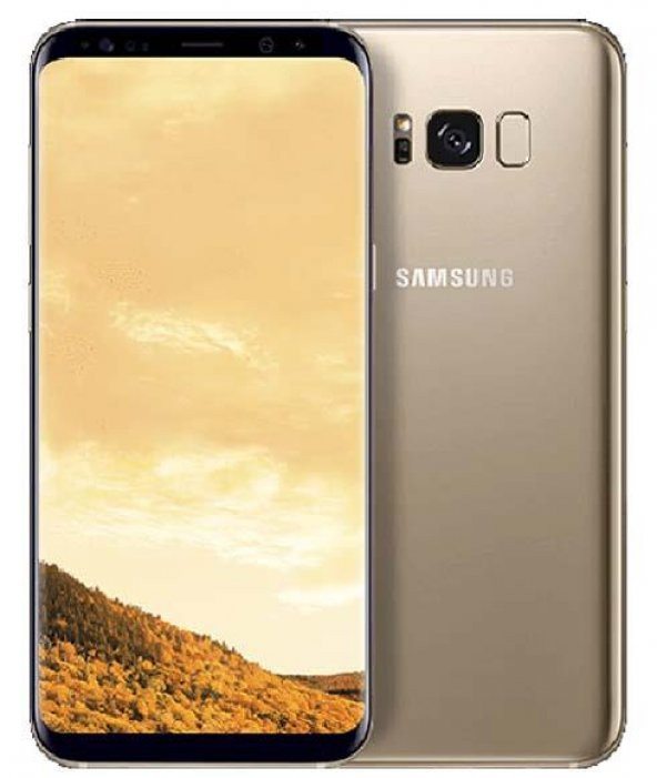 Samsung Galaxy S8 Plus 64GB Gold (İthalatçı Garantili Outlet Ürün)