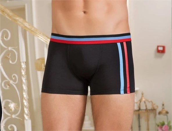Berrak 1106 Modal Pamuk Erkek Boxer Şort - 2
