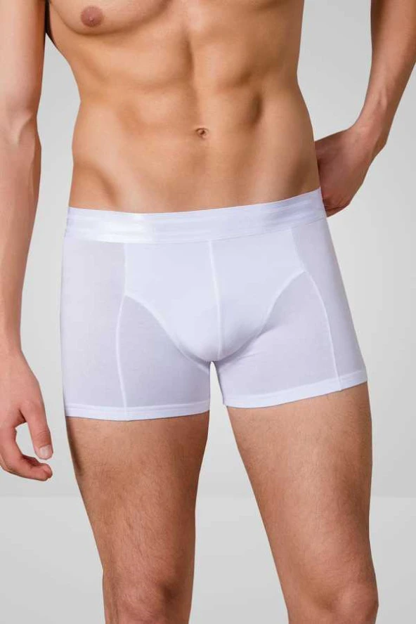Berrak 4469 Modal Erkek Boxer Şort - 2