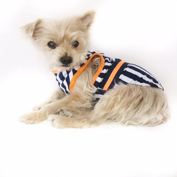 Navy Stripes orange Atlet Köpek Kıyafeti  Köpek Elbisesi