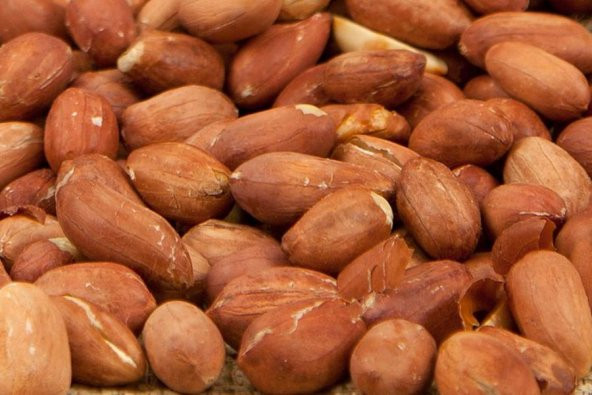 YER FISTIĞI ÇİĞ 1KG - 2