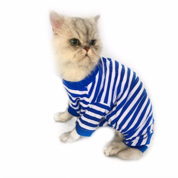 Navy Stripe Penye Tulum Kedi Tulumu Kedi Elbisesi