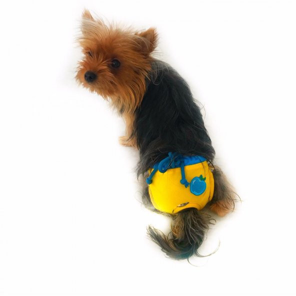 Yellow Blue Apple Secret Köpek İç Çamaşırı Regl Külot Don