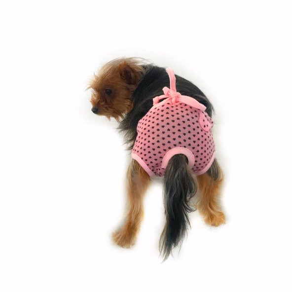 Pink Hearts Teddy Secret Köpek İç Çamaşırı Regl Külot Don