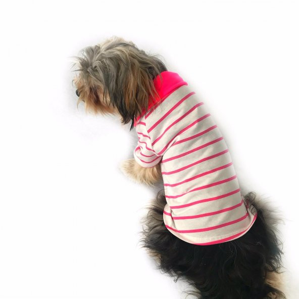Pinky Cream Stripe Polo Yaka Tişört Köpek Kıyafeti Köpek Elbisesi