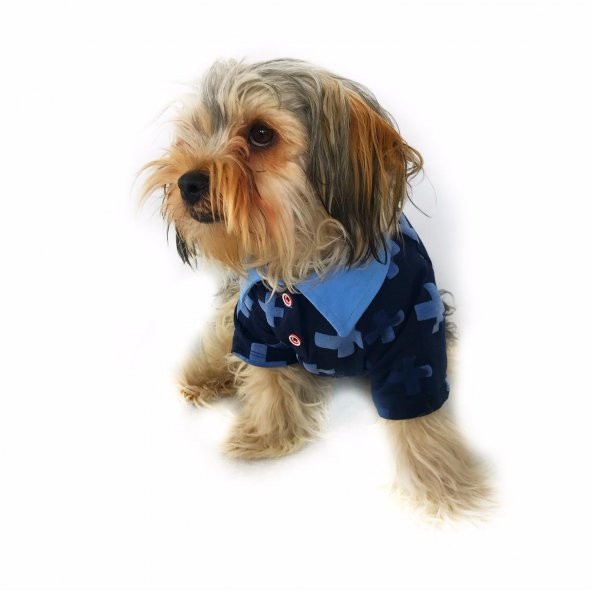 Blue Cross Polo Yaka Tişört Köpek Kıyafeti Köpek Elbisesi