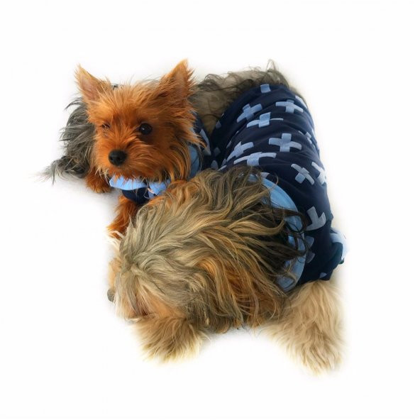Blue Cross Polo Yaka Tişört Köpek Kıyafeti Köpek Elbisesi - 7