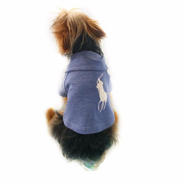 Mavi Polo Yaka Tişört KöpekKıyafeti Köpek Elbisesi