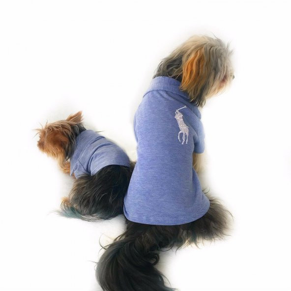 Mavi Polo Yaka Tişört KöpekKıyafeti Köpek Elbisesi - 5