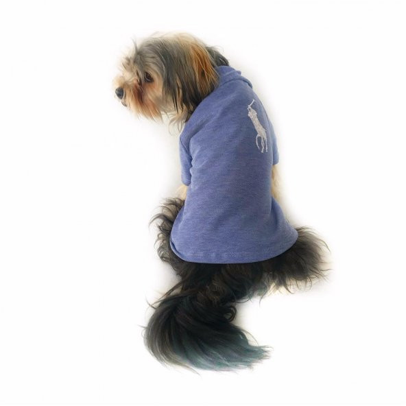 Mavi Polo Yaka Tişört KöpekKıyafeti Köpek Elbisesi - 6