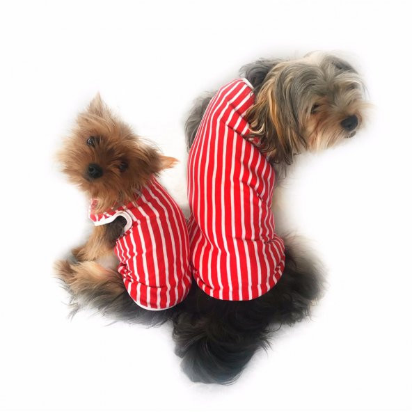 Red Stripes Atlet Köpek Kıyafeti  Köpek Elbisesi