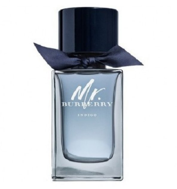 Burberry Mr. Burberry Indıgo EDT 100 ml Erkek Parfüm - 1