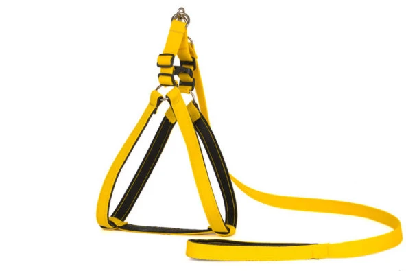 Yumuşak Doku Göğüs Tkm No:4 - 4