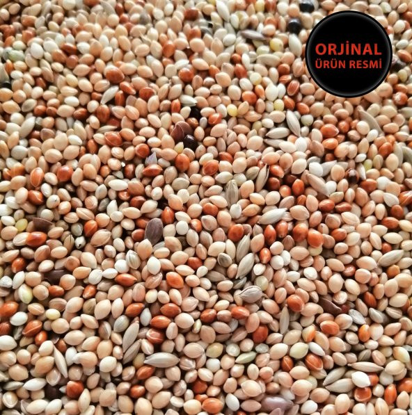 5 KG KARIŞIK MUHABBET KUŞU YEMİ