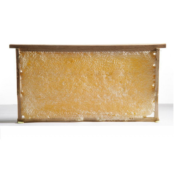 Doğal Petek Çiçek Balı 2 Kg.