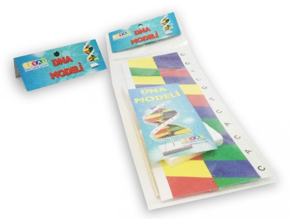 Hayal Dna Sarmalı Modeli - 2