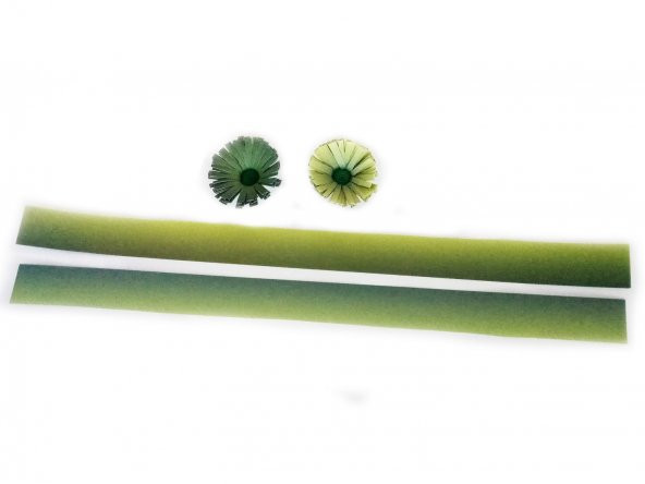 Hayal Fıstık Yeşili-Yeşil / Fıstık Yeşili-Koyu Yeşil Renk Geçişli - 3