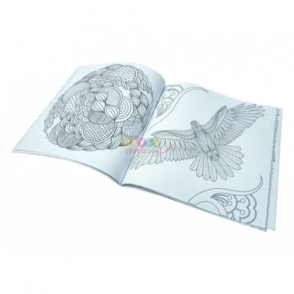 Aşk ile Boya - Büyüklere Boyama Kitabı - 4