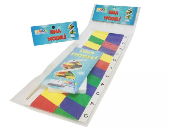 Hayal Dna Sarmalı Modeli