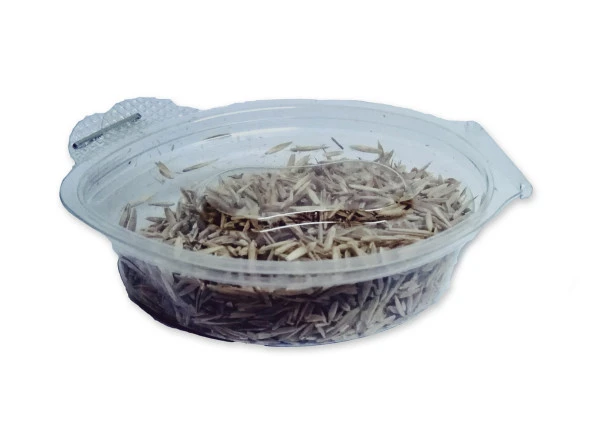 Çim Tohumu 4-5 Gram - 2