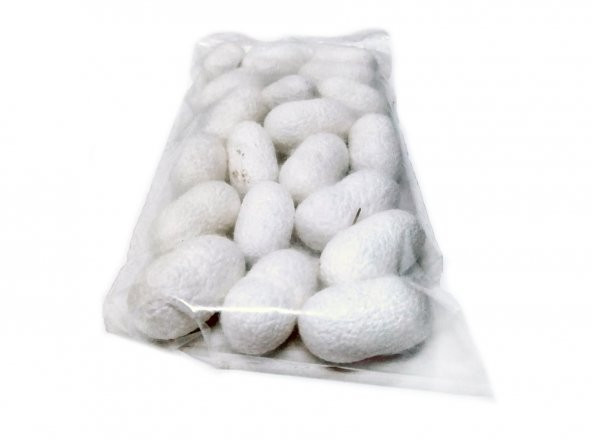 İpek Kozası 20 Adetli Paket - 3