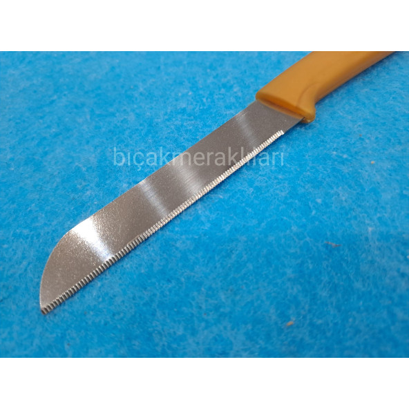 Altılı Dişli Meyve Bıçağı - 8