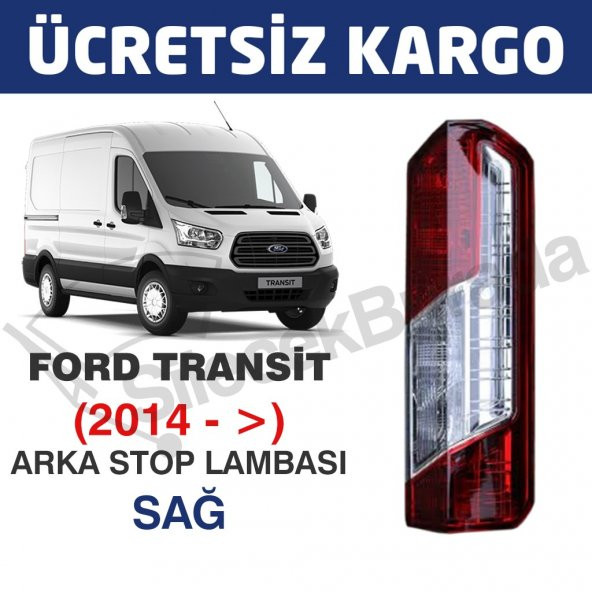 Ford Transit V363 Arka Stop Lambası - Sağ (2014 - )