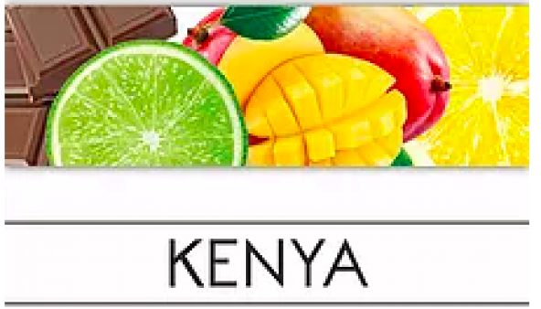 MORN COFFEE & TEA KENYA 100 GR - 2