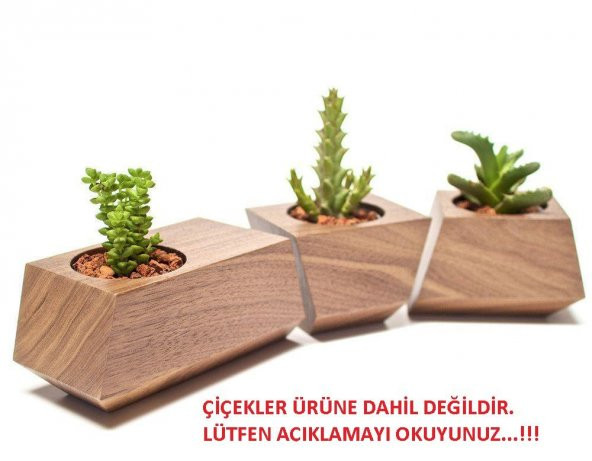 Çiceklik Zanaat Ahşap Çiçeklik / Dekor 3 Parça