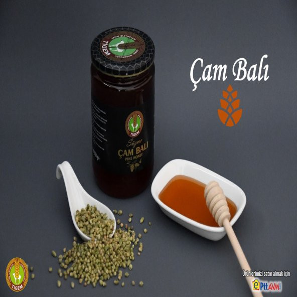 Tigem Süzme Çam Balı 850 gr - 3