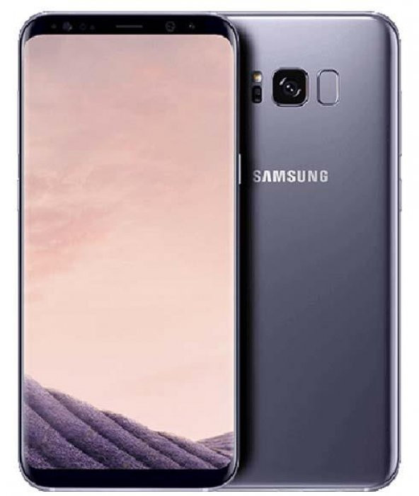 Samsung Galaxy S8 Plus 64GB Gümüş (İthalatçı Garantili Outlet Ürün)