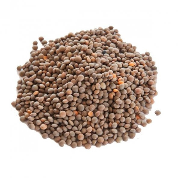 ANTEP SİYAH MERCİMEK 1 KG