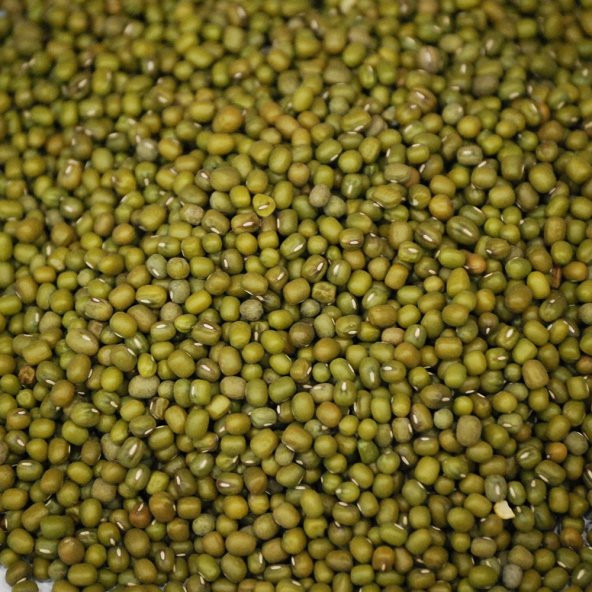 MAŞ FASULYESİ 1 KG